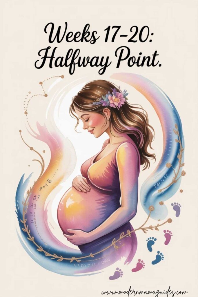 Weeks 17–20: Halfway Point